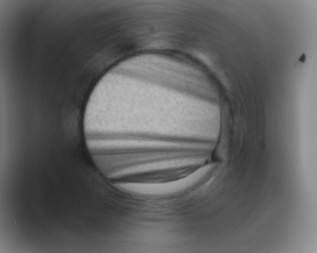 X0000088731265200706282117