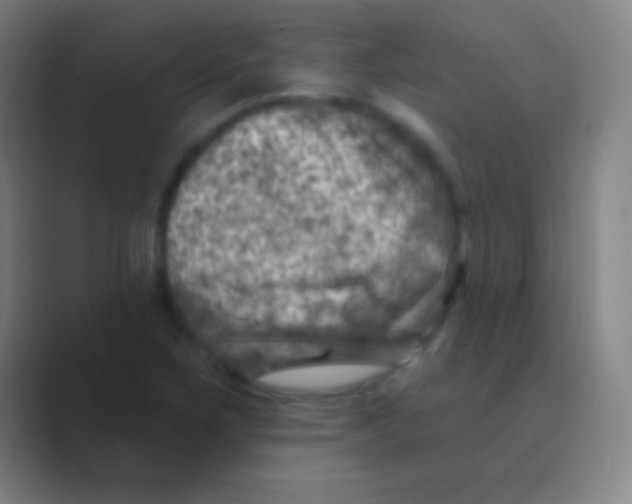 X0000088731267200706282117