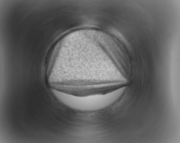 X0000088731268200706282117