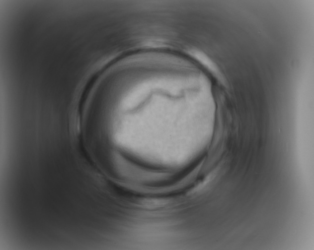 X0000088731269200706282117