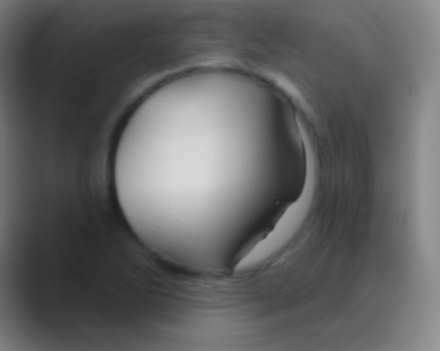 X0000088731270200706282117