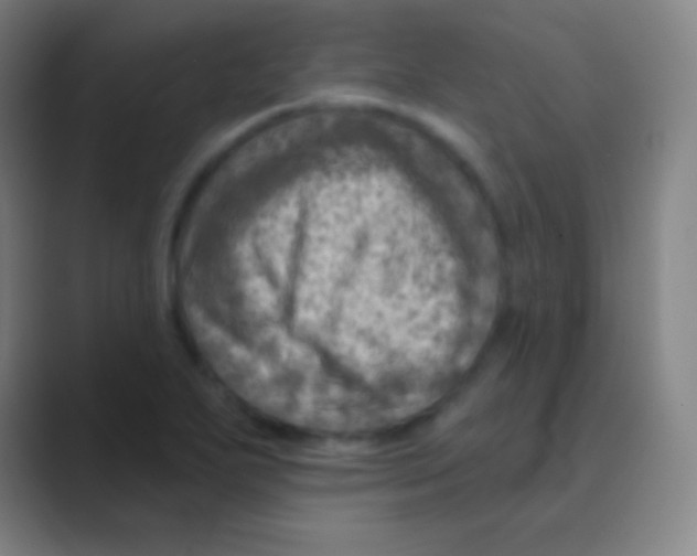 X0000088731271200706282117