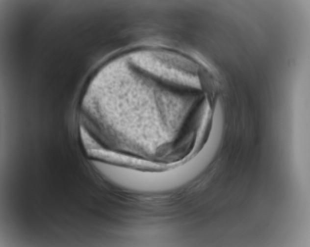 X0000088731272200706282117