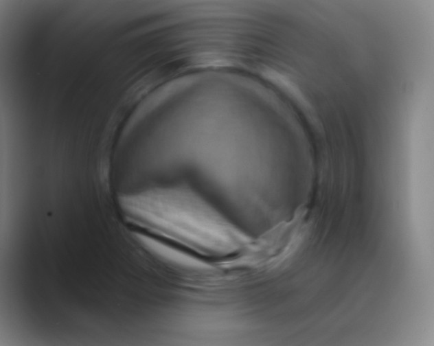 X0000088731273200706282117