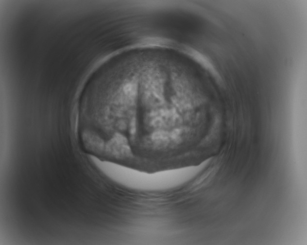 X0000088731275200706282117