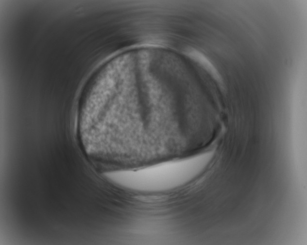 X0000088731276200706282117