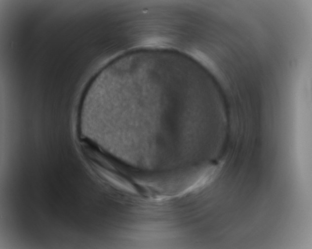 X0000088731277200706282116