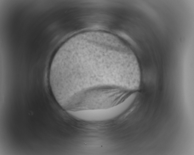 X0000088731278200706282116