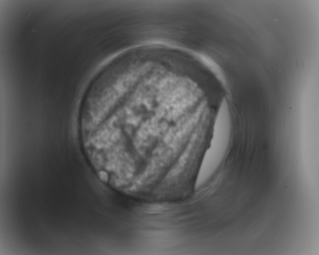 X0000088731279200706282116