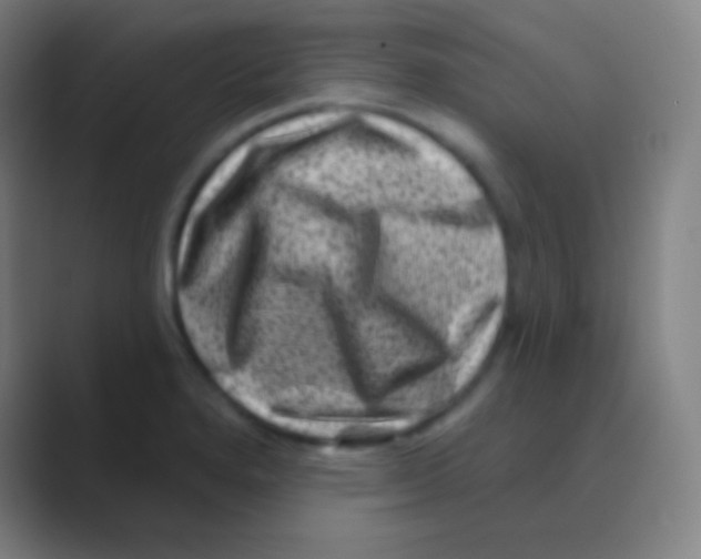 X0000088731280200706282116