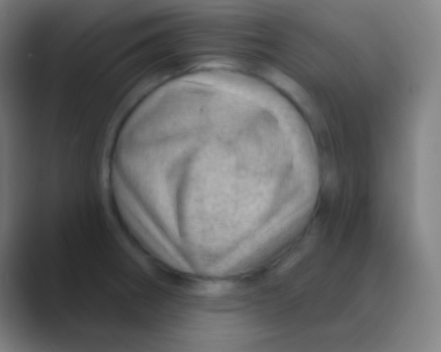 X0000088731282200706282116