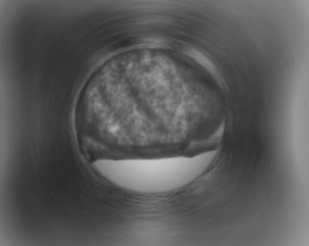 X0000088731283200706282116