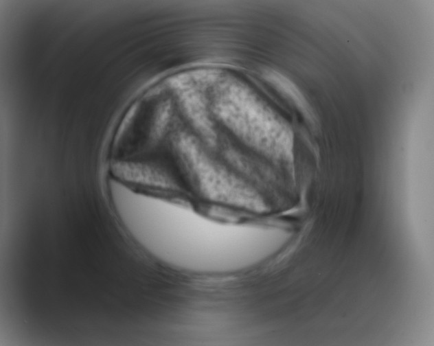 X0000088731284200706282116