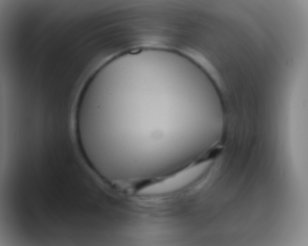 X0000088731285200706282116