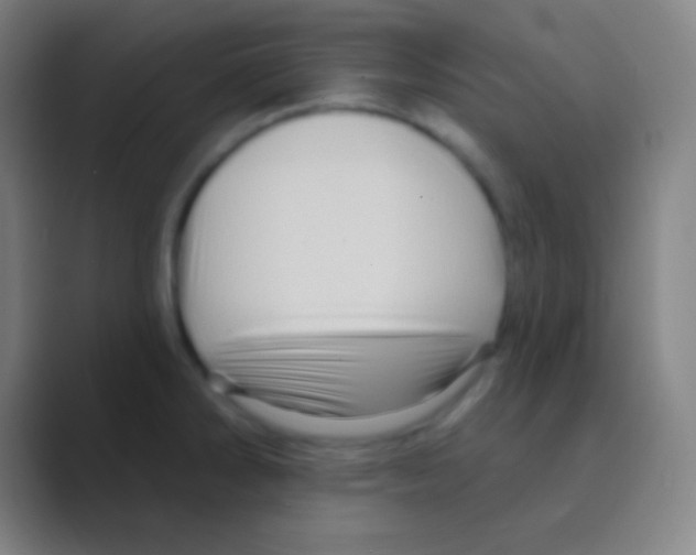 X0000088731286200706282116