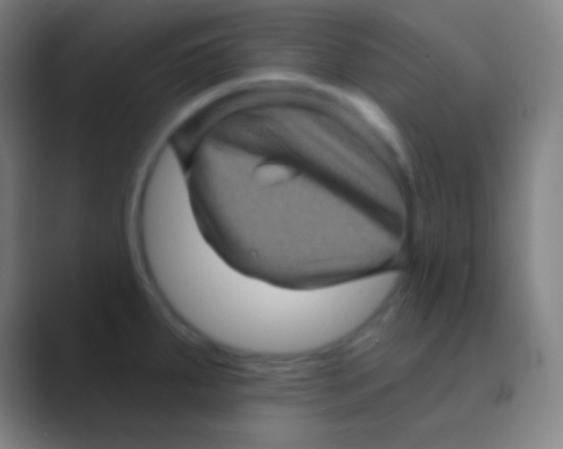 X0000088731287200706282116