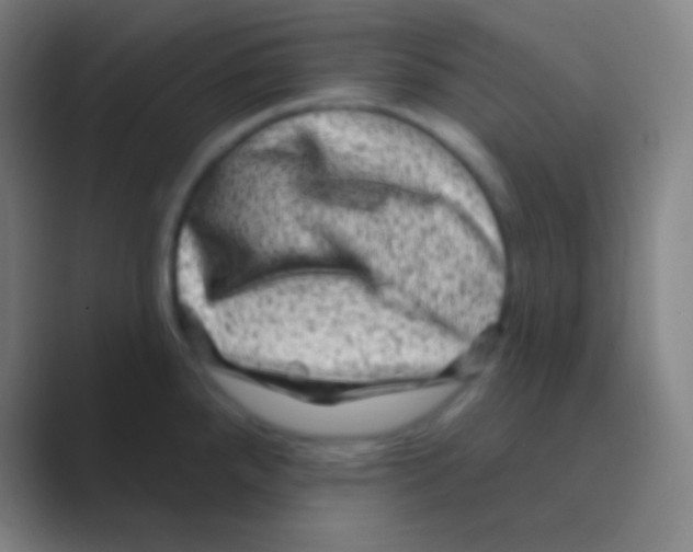 X0000088731288200706282116