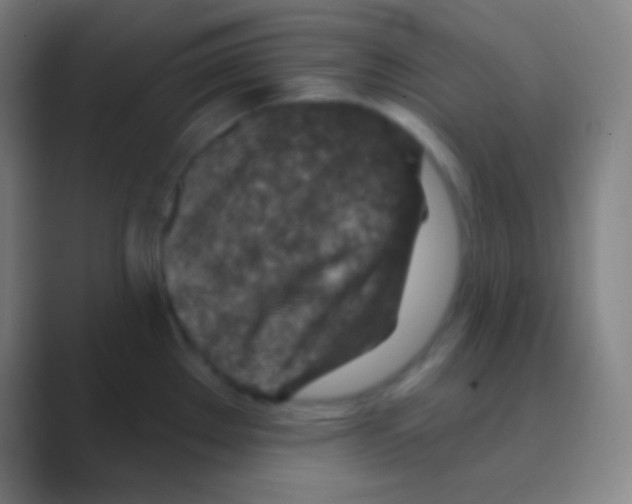 X0000088731289200706282116