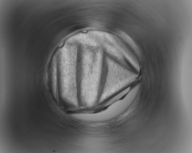 X0000088731292200706282116