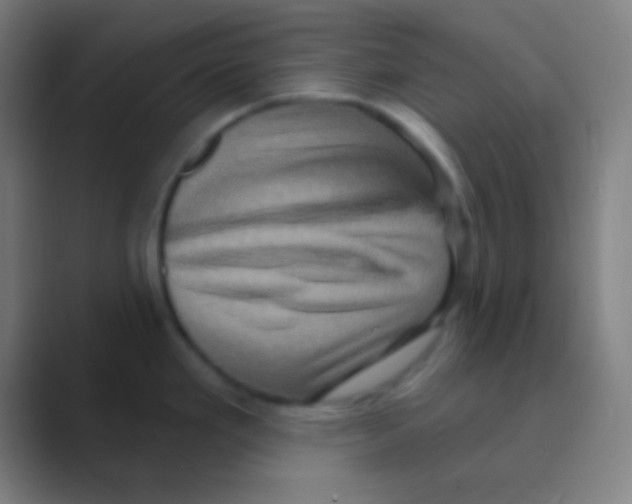 X0000088731293200706282116