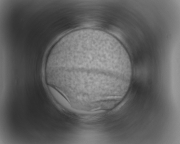 X0000088731294200706282116