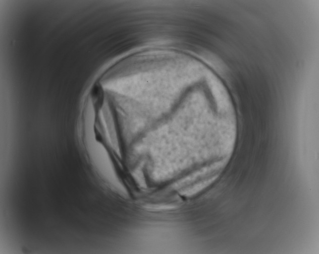 X0000088731296200706282116