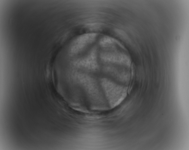 X0000088731298200706282116