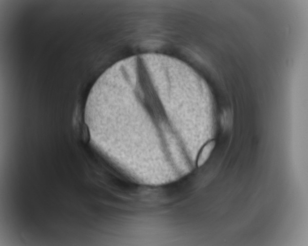 X0000088731299200706282116