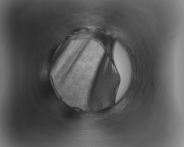 X0000088731300200706282116