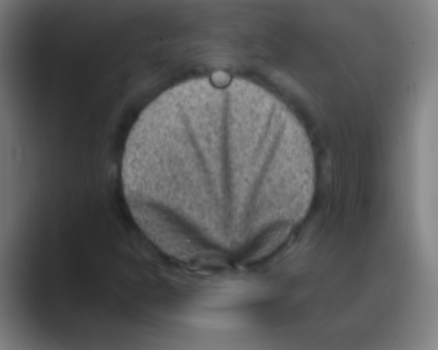 X0000088731302200706282116