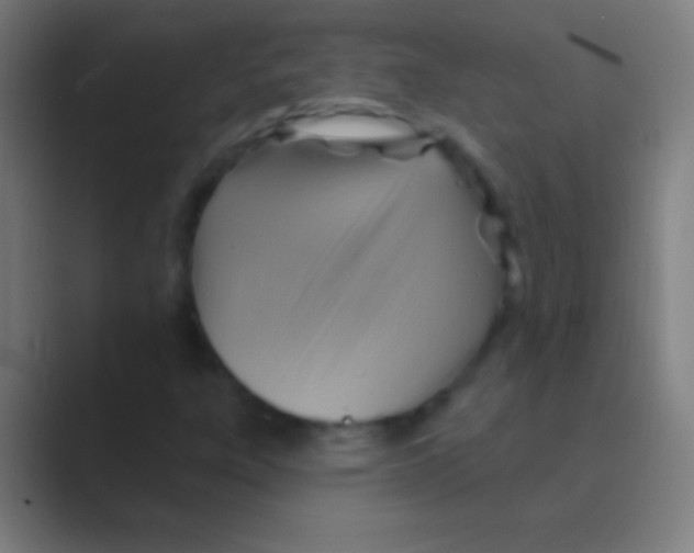 X0000088731303200706282116