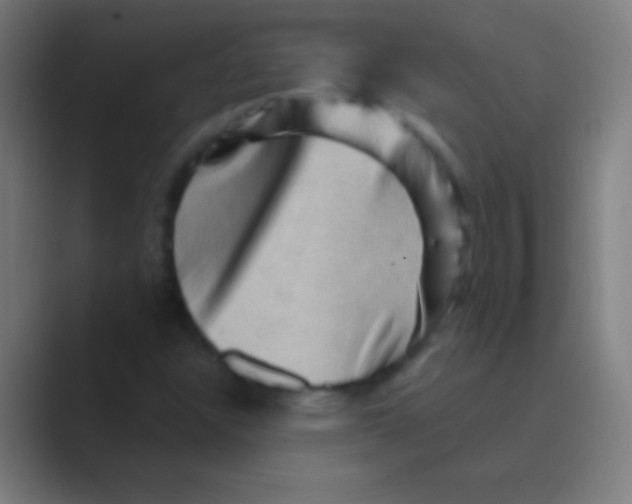 X0000088731304200706282116