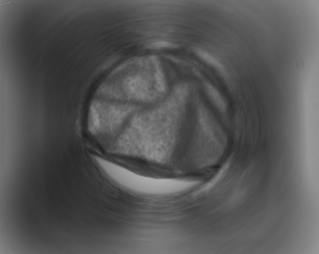 X0000088731305200706282116