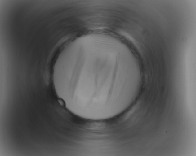 X0000088731306200706282116