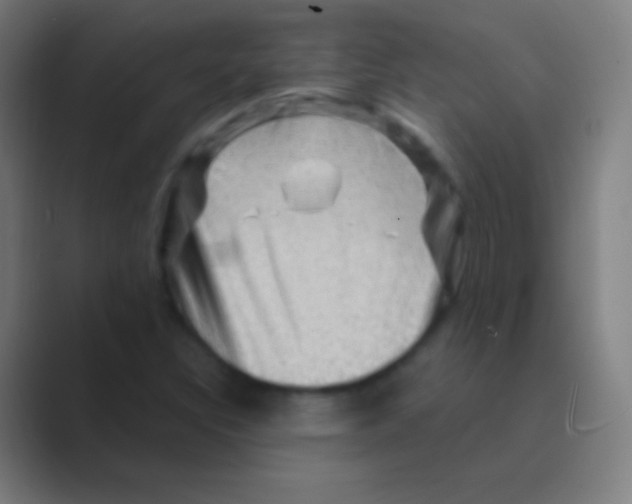 X0000088731308200706282116