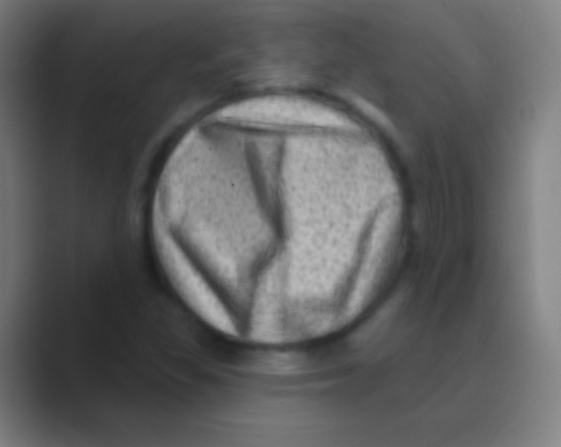 X0000088731309200706282116