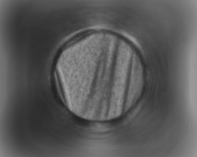 X0000088731311200706282116