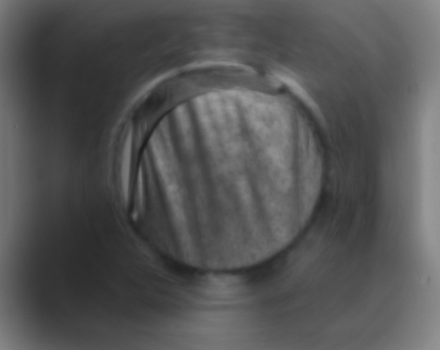 X0000088731312200706282116