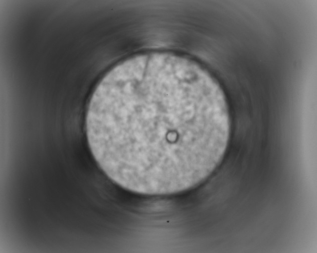 X0000088731314200706282116