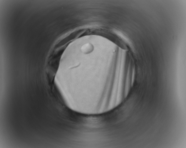 X0000088731316200706282116