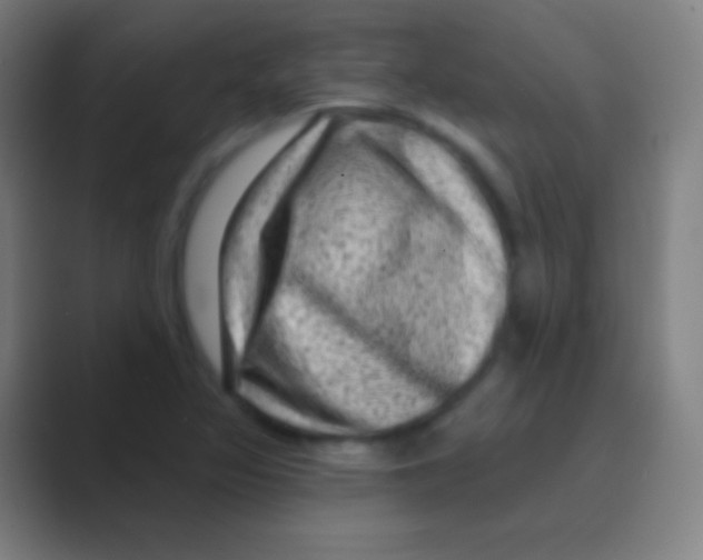 X0000088731317200706282116