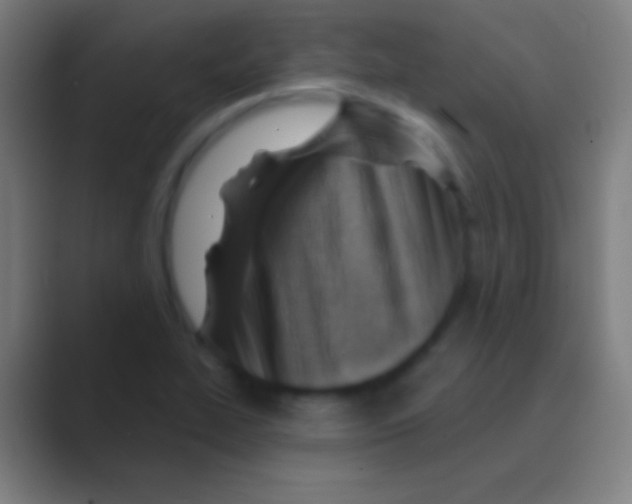 X0000088731319200706282116