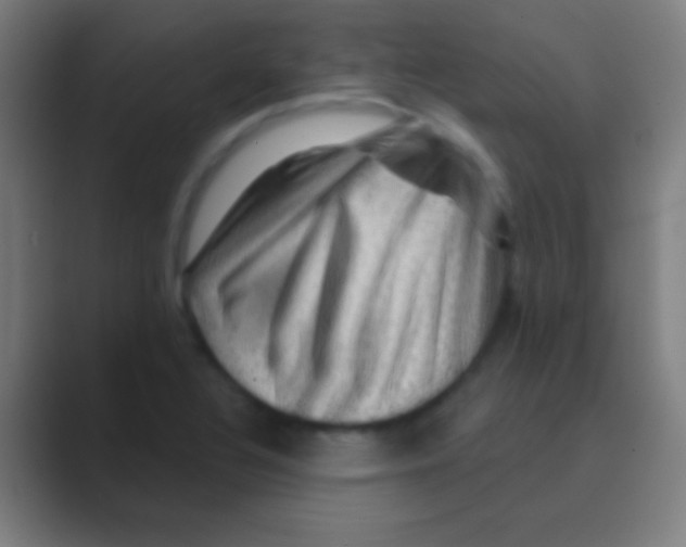 X0000088731320200706282116