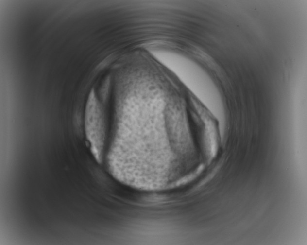 X0000088731321200706282116