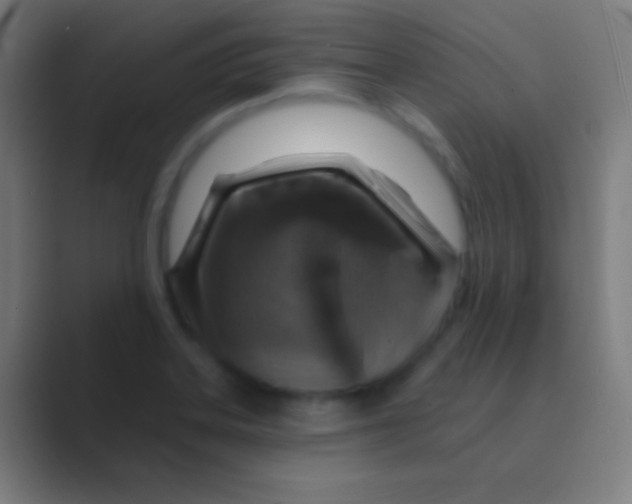 X0000088731323200706282116