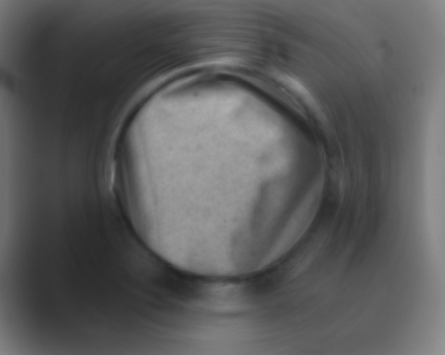 X0000088731324200706282116