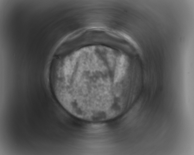 X0000088731325200706282116