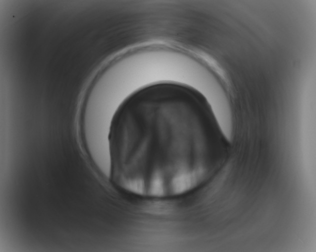 X0000088731327200706282116