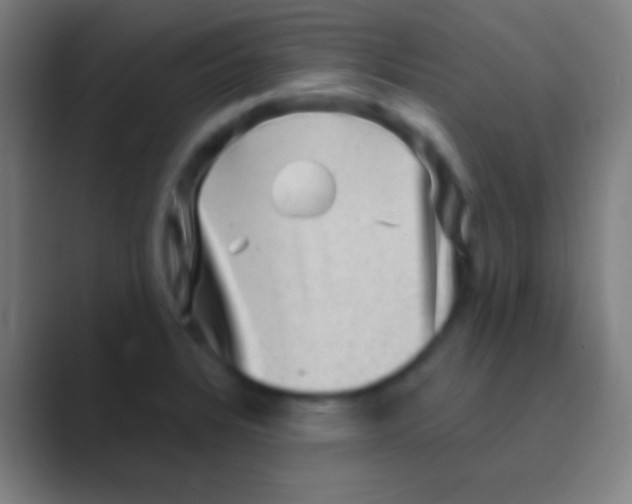 X0000088731328200706282116