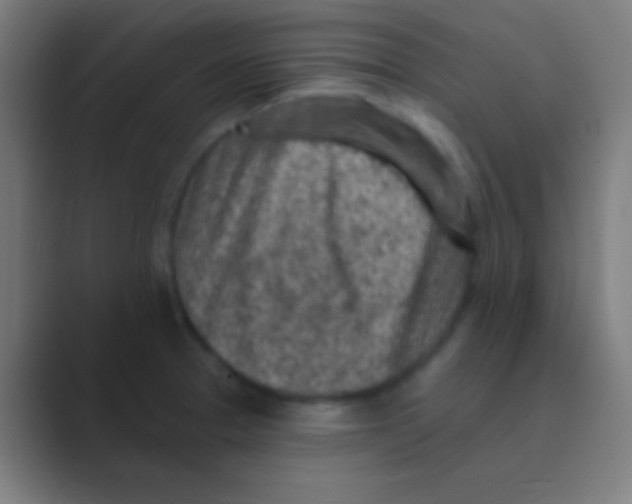 X0000088731329200706282116